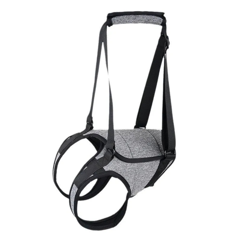 Neoprene dog recovery belt for rear leg support showing adjustable design and sizing options