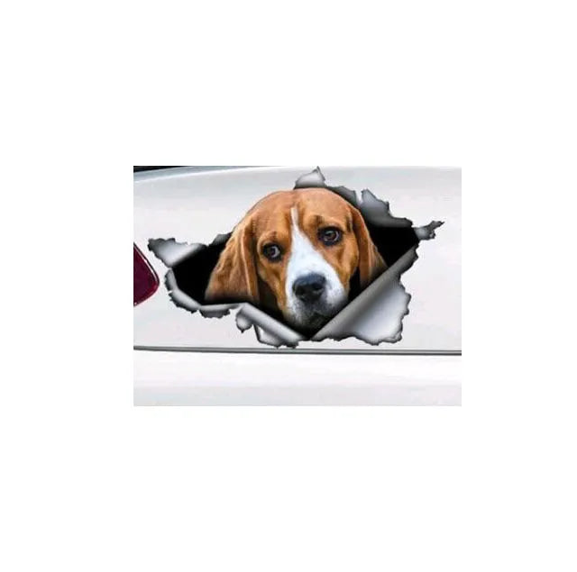 Car tail pet pattern sticker made of polyethylene measuring 20x15cm in picture colour with text design