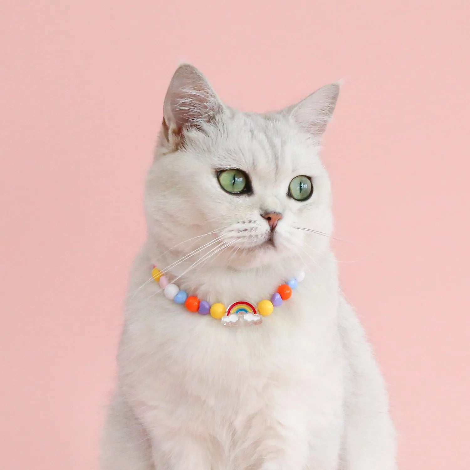 Colourful plastic pearl bead cat collar with a small flower charm on a white background.