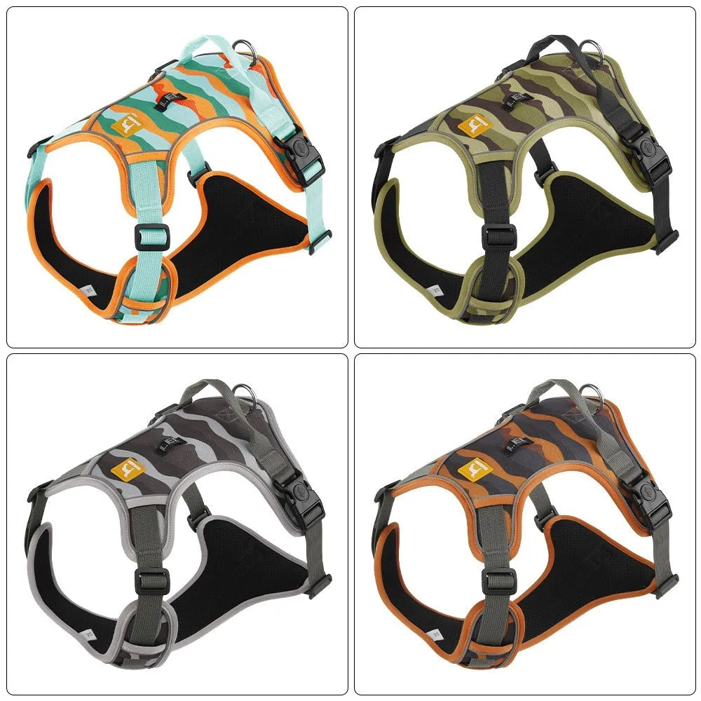 Orange Oxford cloth dog harness with reflective rope on a dog's chest and back