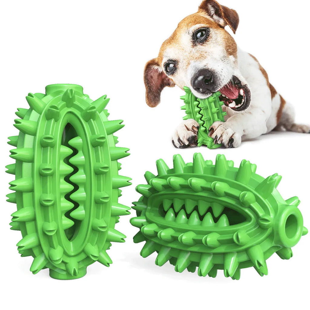 Green cactus-shaped dog toothbrush toy for dental cleaning with central treat channel