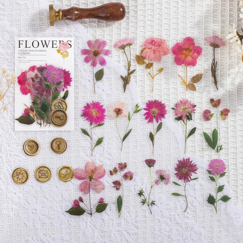 Dried flowers journal decoration stickers in eight colour themes including Dark Night Purple and leaf specimen designs