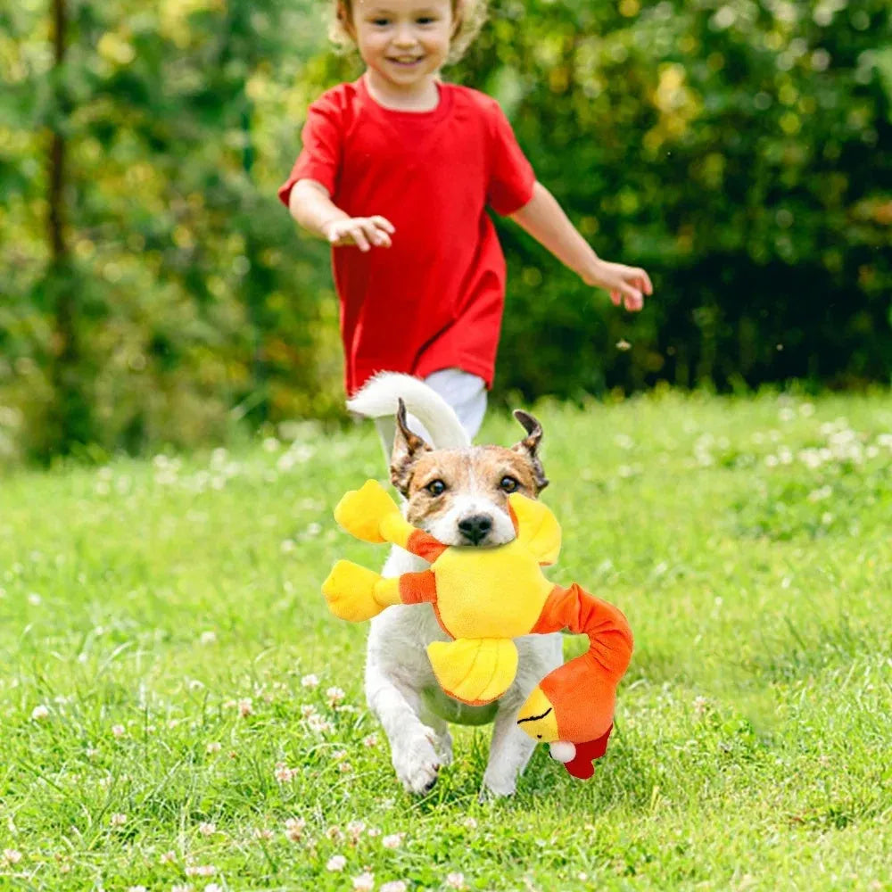 Squeaky screaming chicken dog chew toy in black, green, or orange colour