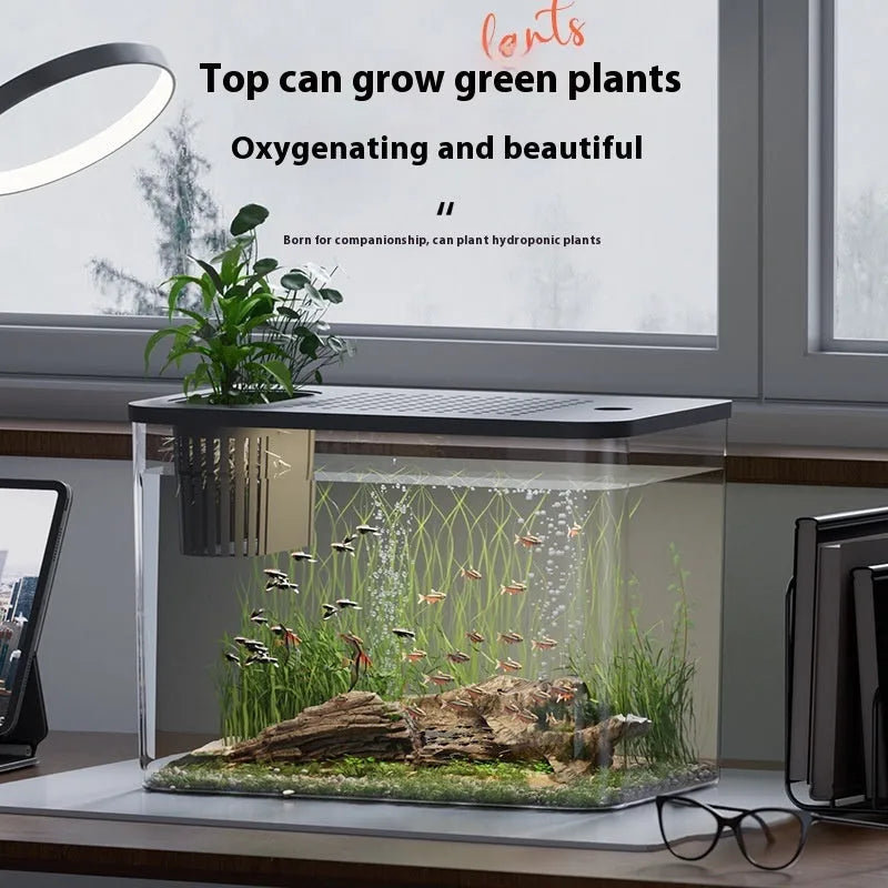 Medium plastic betta fish tank with cover in black or white, dimensions 32x18.5x23cm