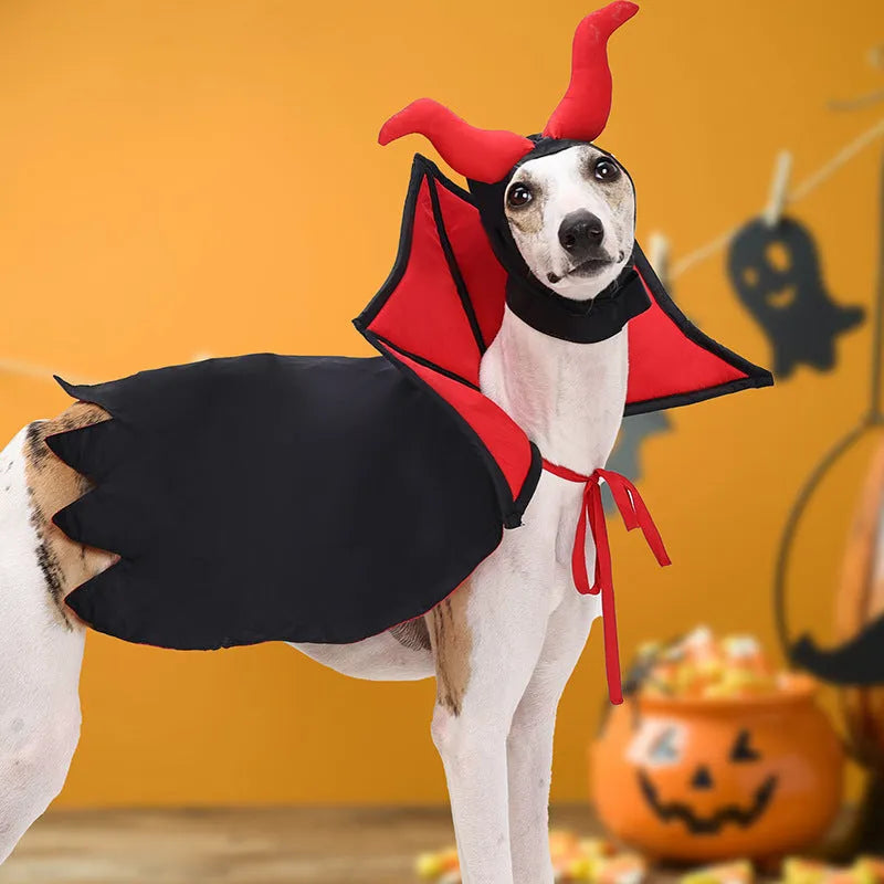 Black polyester pet vampire cloak and hat Halloween costume set shown on pet
