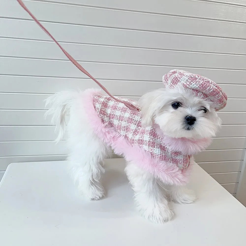 Cat wearing pink beret and matching cloak costume with hand-holding rope