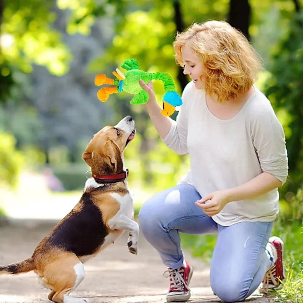Squeaky screaming chicken dog chew toy in black, green, or orange colour