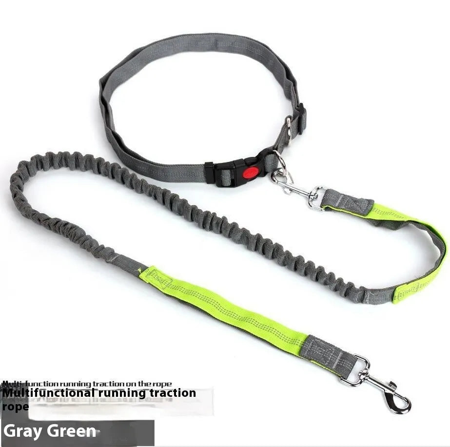 Outdoor running dog leash with elastic night reflective filament sling in multiple colour combinations