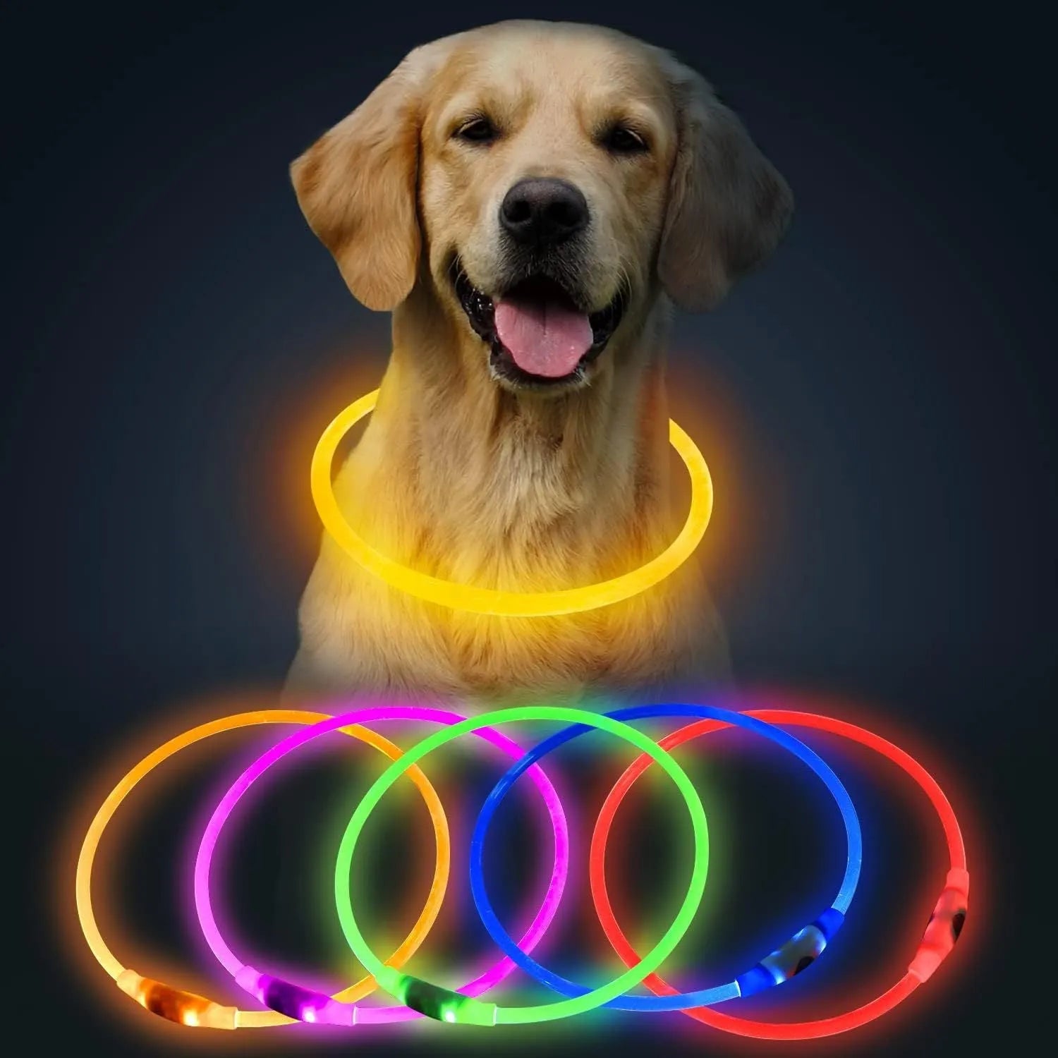 Blue USB rechargeable LED dog collar glowing with adjustable strap and USB charging port