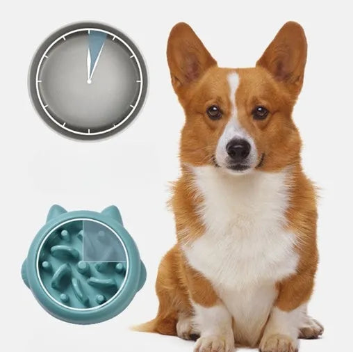 Green pet slow feeder bowl with raised internal ridges to slow eating for dogs and cats.