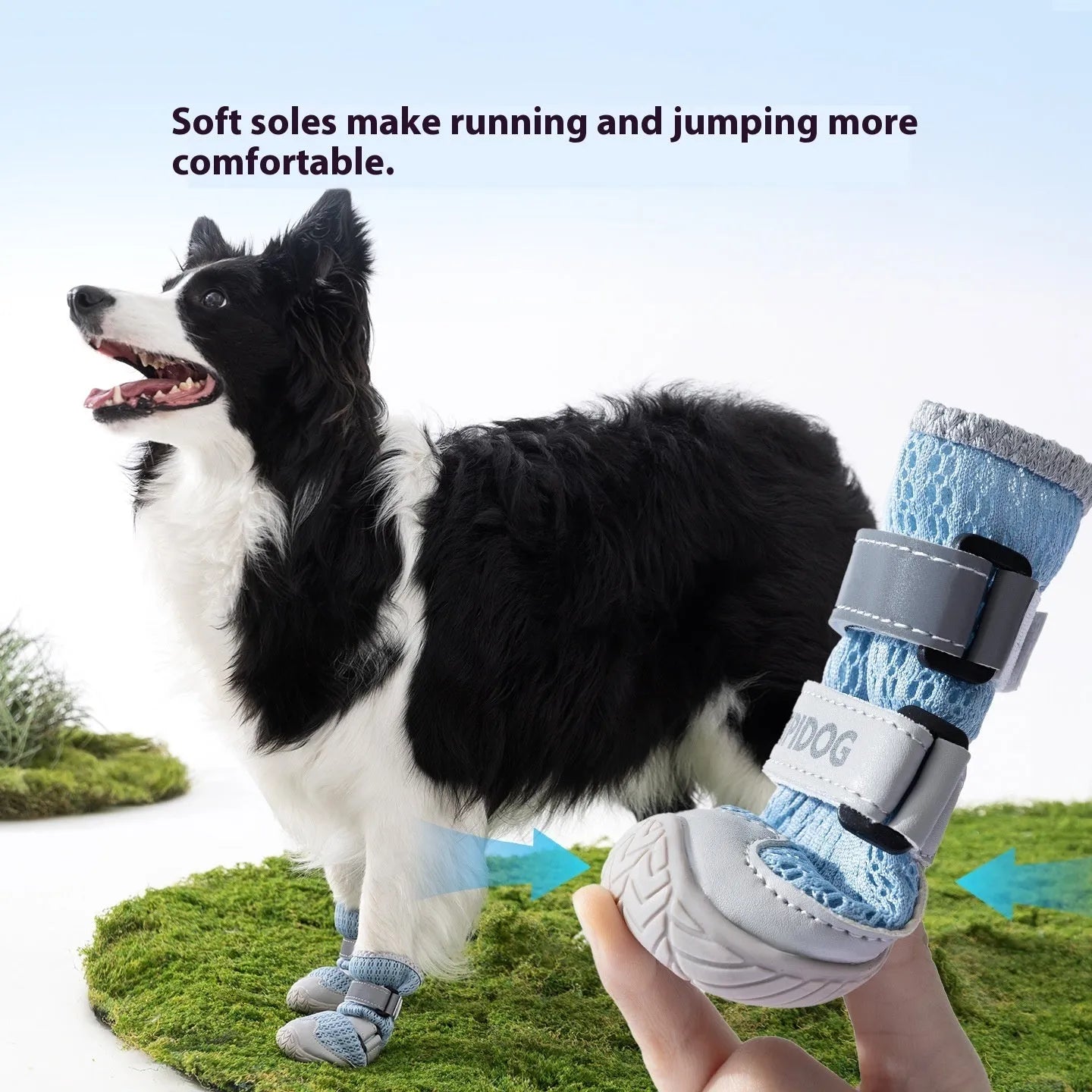 Summer breathable dog shoes in Bondi Blue colour showing cartoon style design