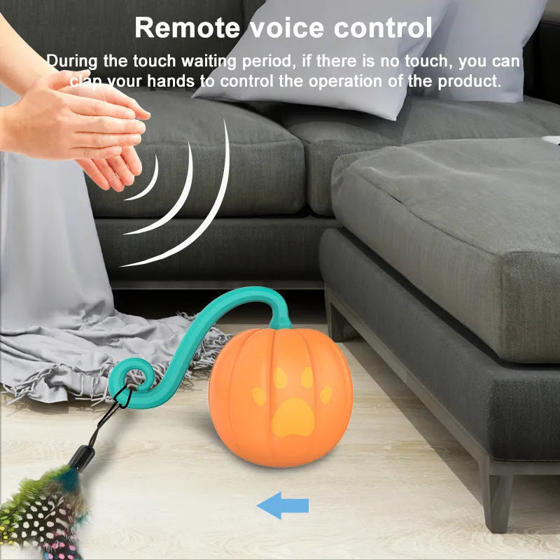 Automatic electric cat teasing ball with watermelon design showing plastic construction and approximately 9cm diameter