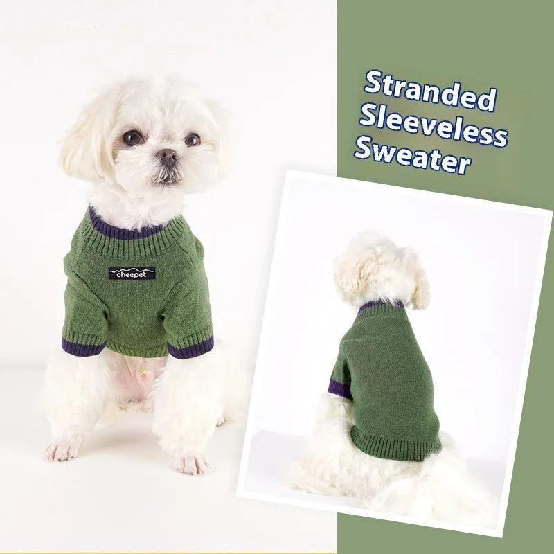 British style woollen dog sweater with contrast colour trim on a dog, showing two-leg design.
