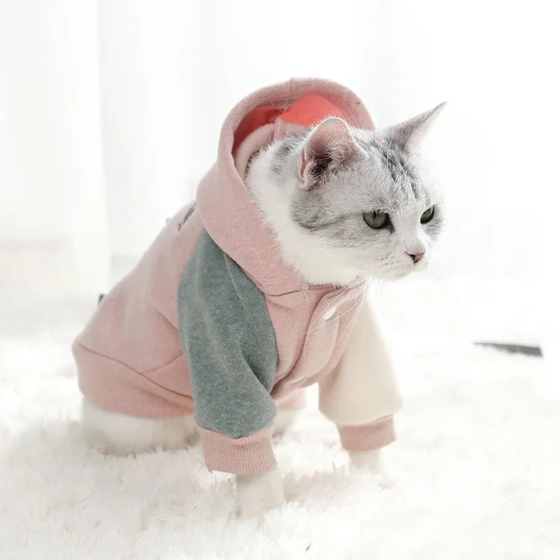 Cotton pet sweatshirt for small dogs and cats in brown, green, pink colours