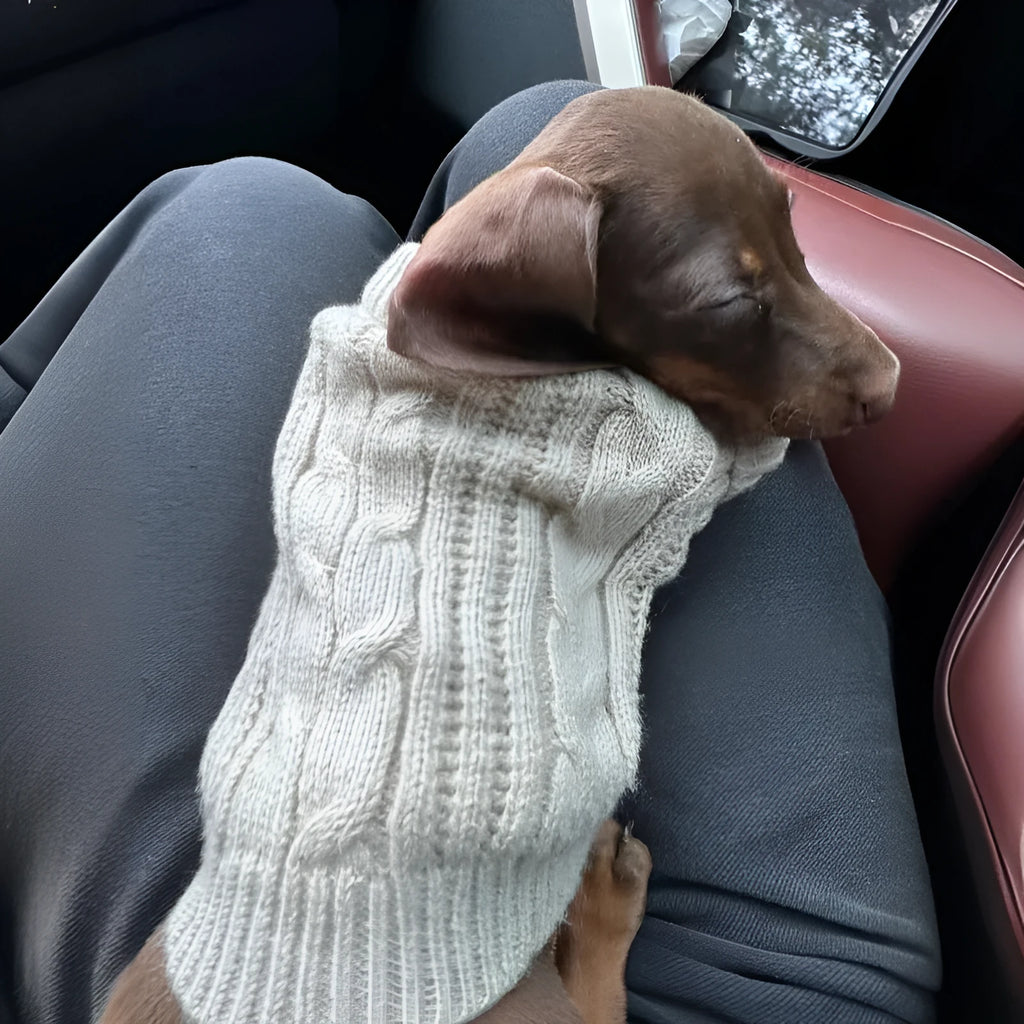 Greige knitted sausage dog sweater for small dogs, winter warm pet clothes, multiple sizes available