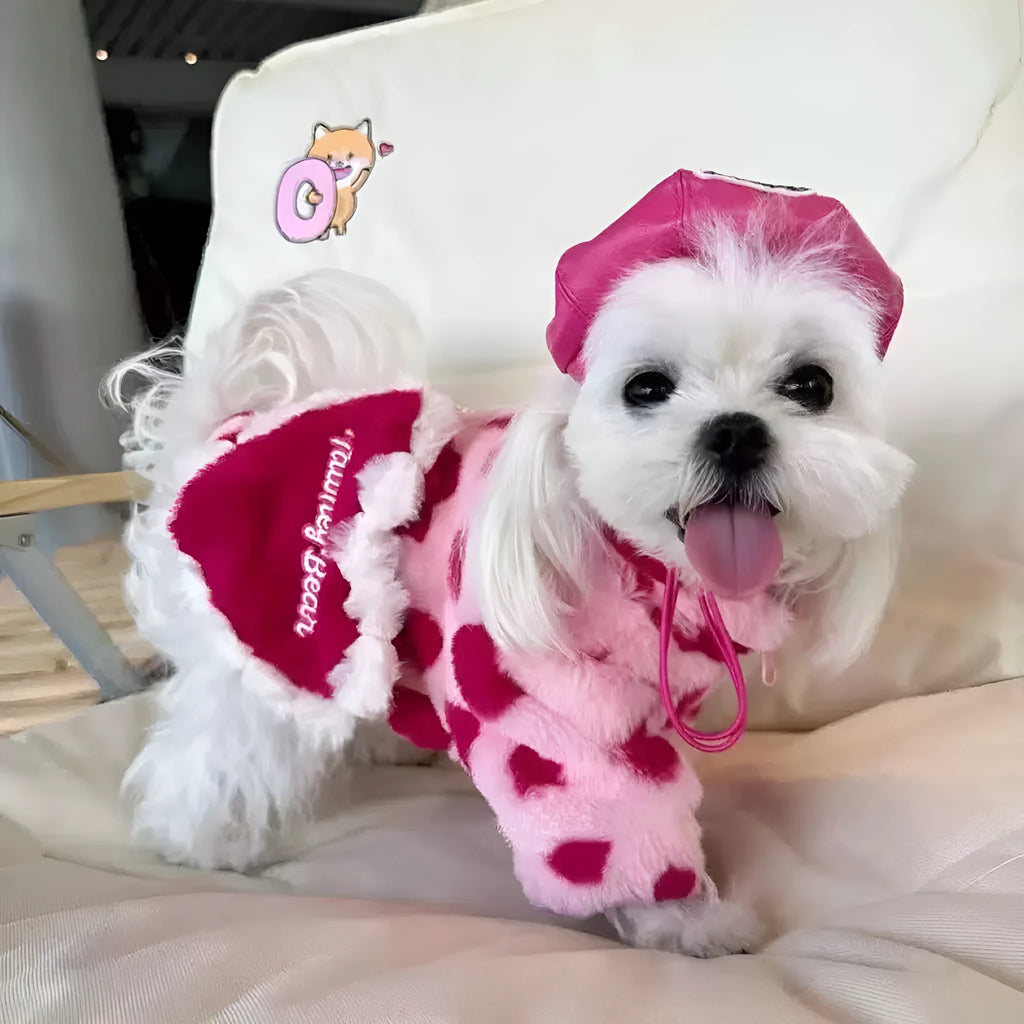 British-style pink warm coat on small Teddy Bichon dog showing plush polyester construction