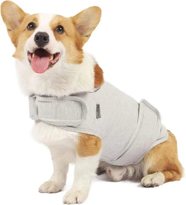 Dog wearing brown cotton anxiety relief tank top for separation anxiety
