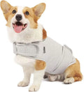 Dog wearing brown cotton anxiety relief tank top for separation anxiety