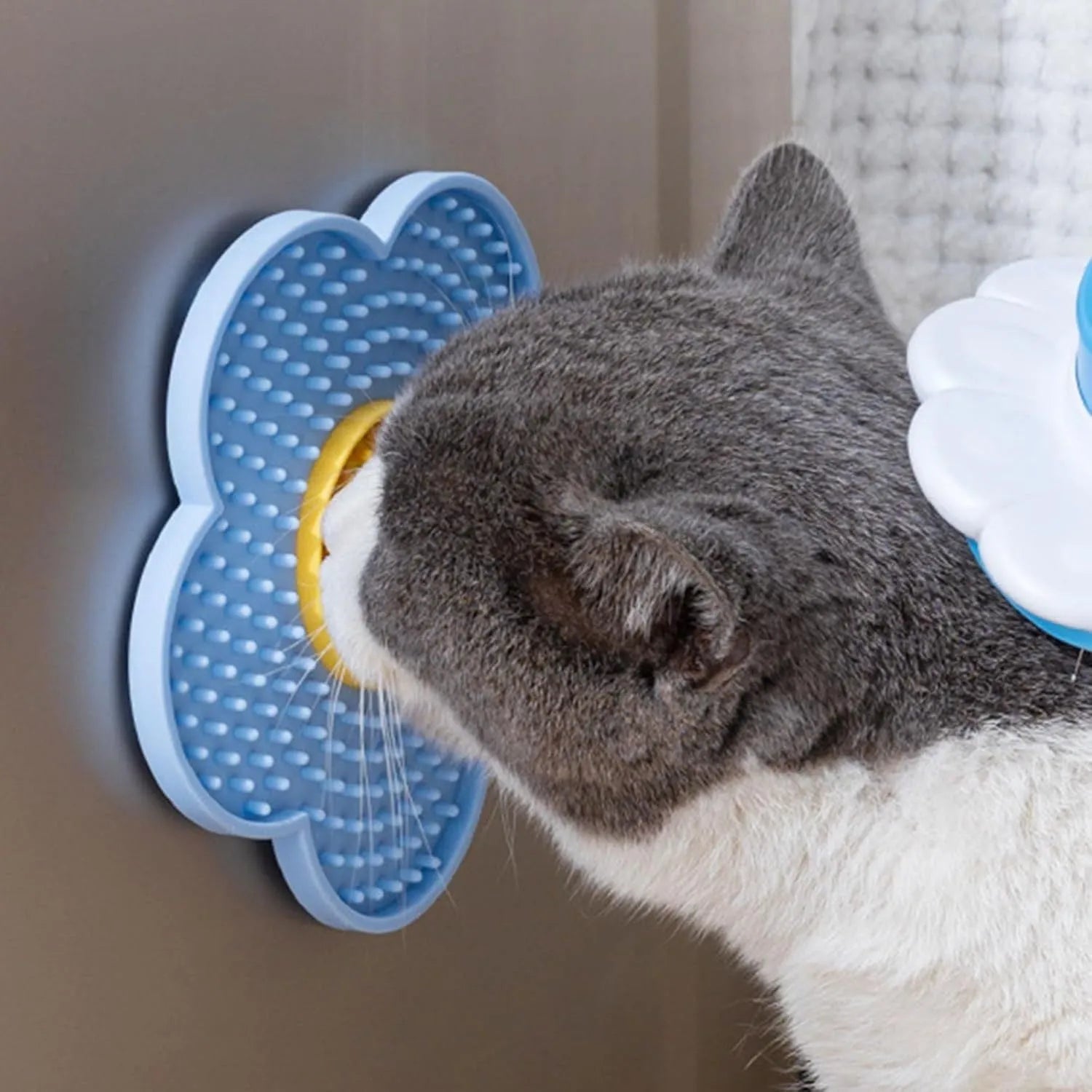 Flower-shaped silicone pet lick pad with suction cup base in assorted colours.