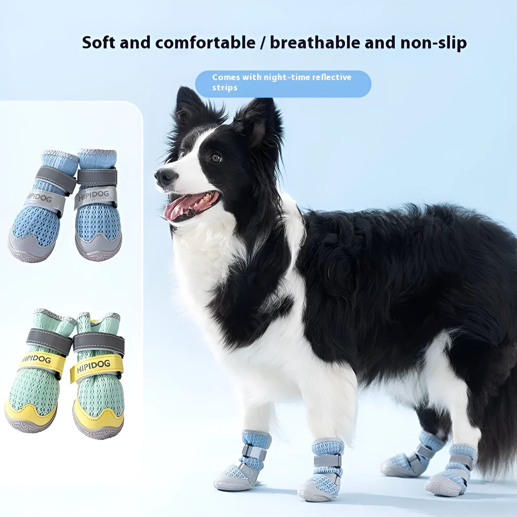 Summer breathable dog shoes in Bondi Blue colour showing cartoon style design