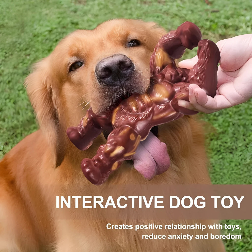 Scarlet nylon dog chew toy with beef flavour for dental cleaning