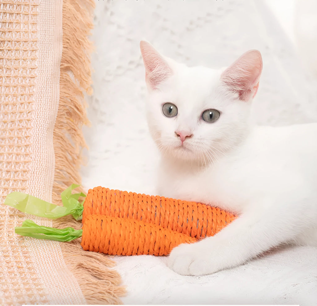 Cat toy collection with carrot bites, paper toys, ringing stones, sticks, and dental grinding sticks