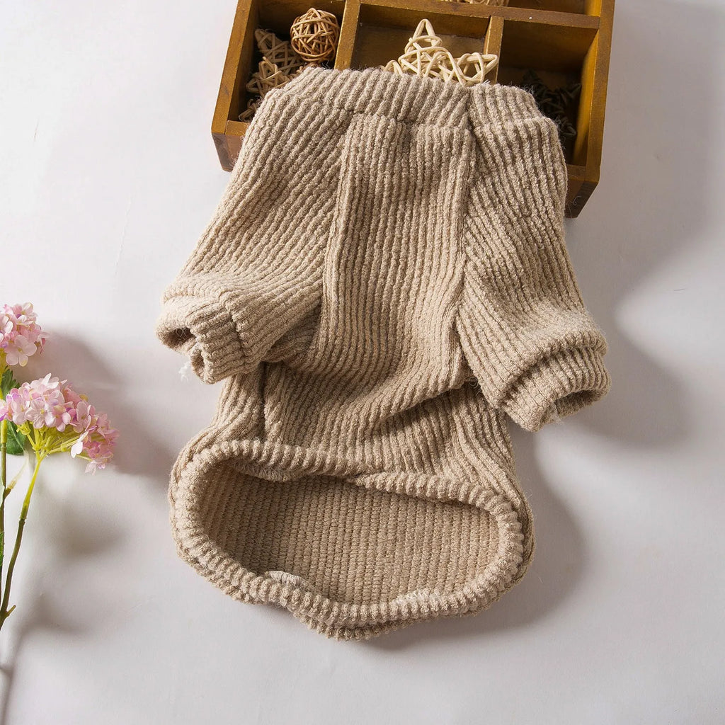 Brown cloth pullover sweater for small breed dogs on a Bichon Frise