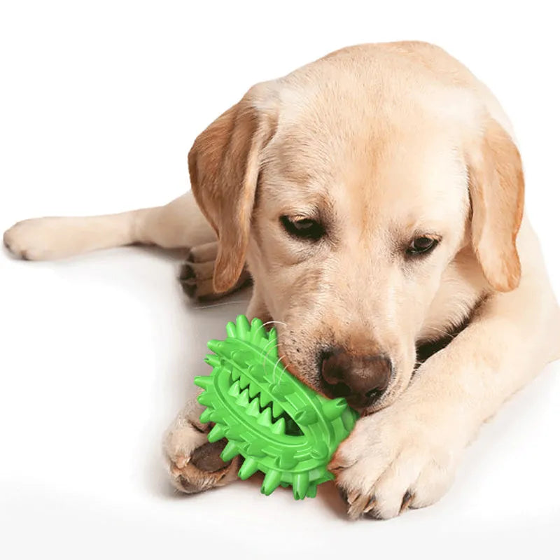 Green cactus-shaped dog toothbrush toy for dental cleaning with central treat channel