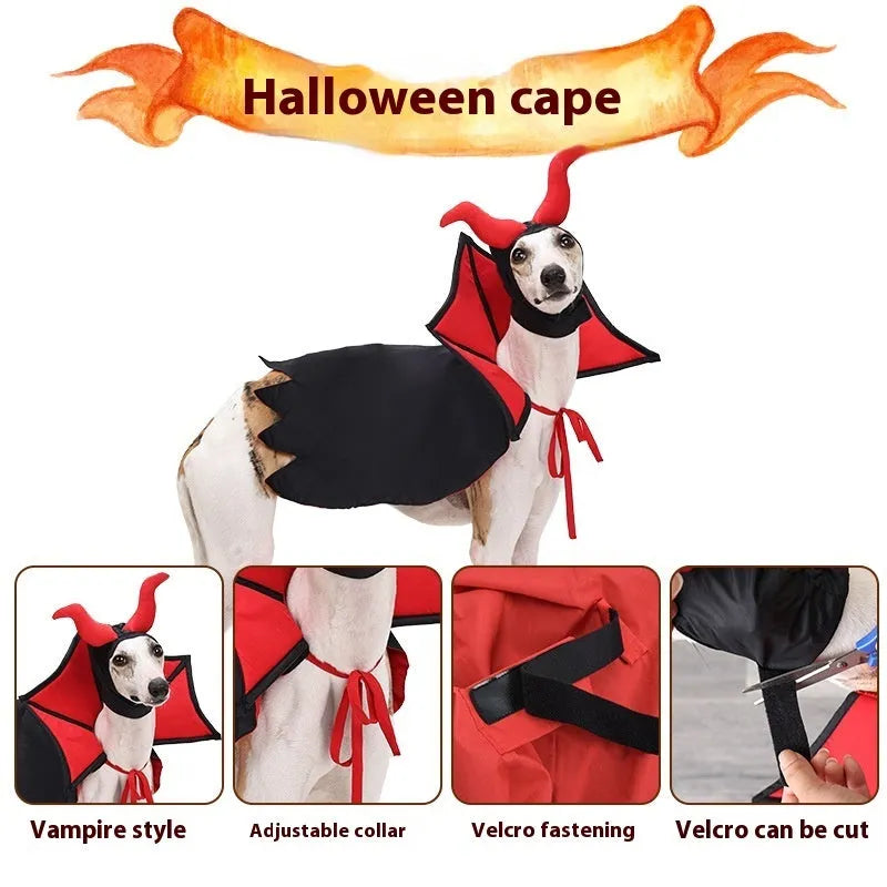 Black polyester pet vampire cloak and hat Halloween costume set shown on pet