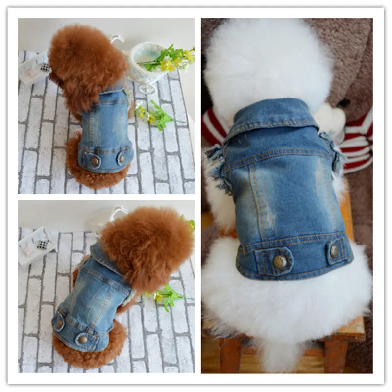 Dark denim dog vest with a retro scratch pattern print on the front, modelled on a small dog.