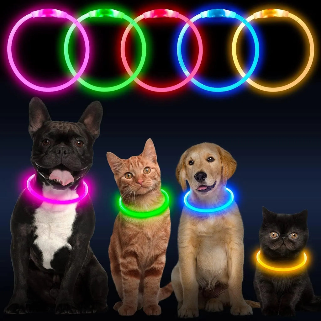 Blue USB rechargeable LED dog collar glowing with adjustable strap and USB charging port