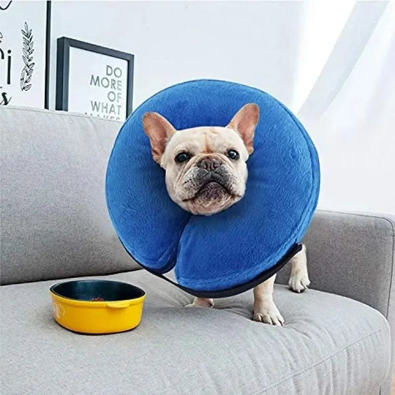 Inflatable soft pet recovery collar in blue with air valve, shown on surface