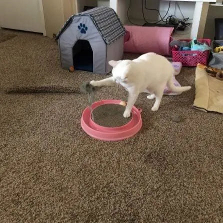 Blue and pink interactive cat scratcher toy with ball track and mouse swatter on a round base.