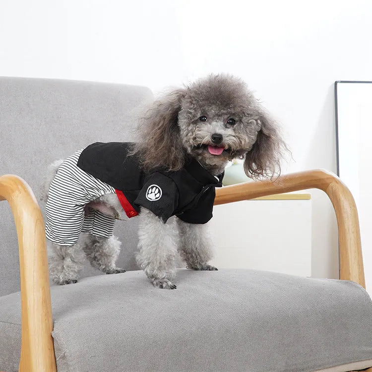 Cotton poodle dog clothes in skirt and four-legged trouser styles for spring, autumn, summer