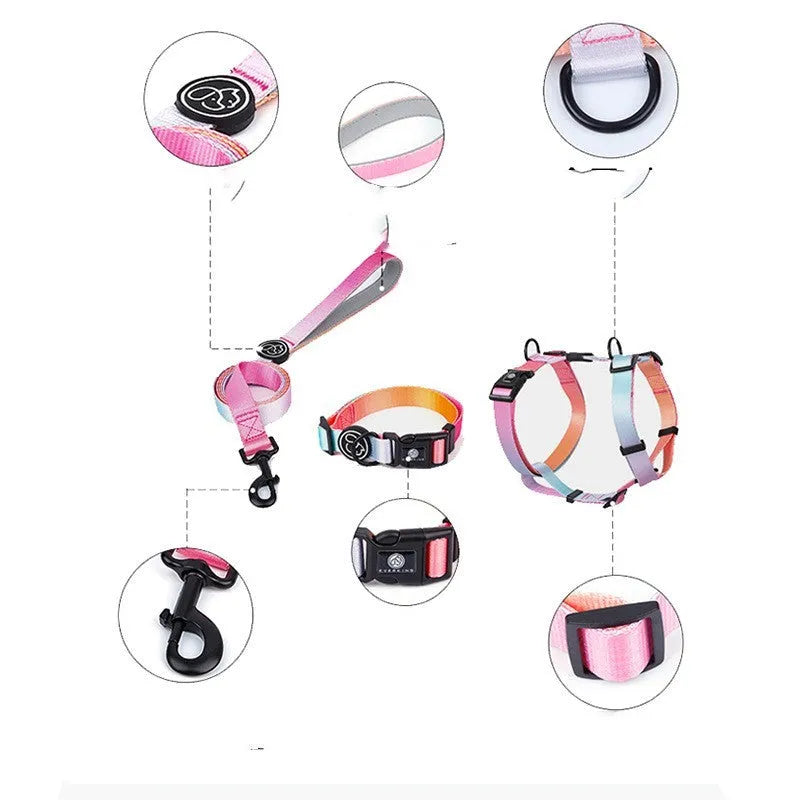 Gradient colour pet chest strap in polyester with S M L sizing options