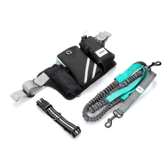 Black nylon dog walking waist bag with integrated leash and collar set for outdoor use