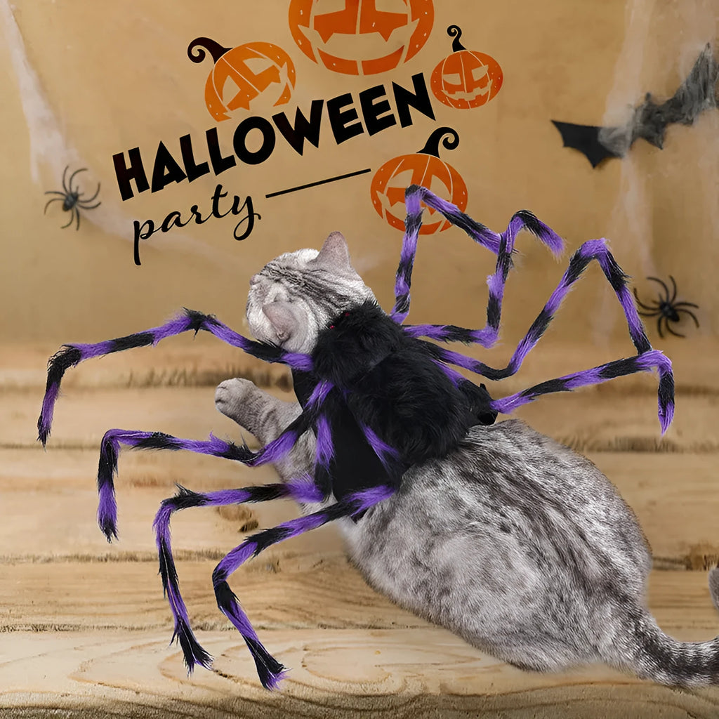 Big spider Halloween costume for pets in polyester fabric with multiple colour options