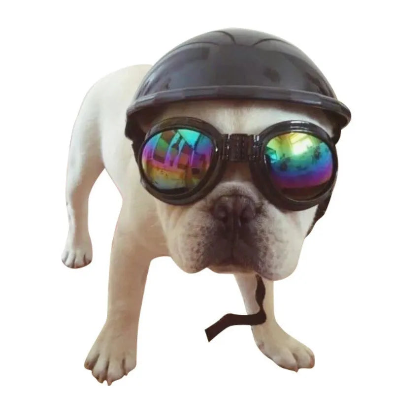 Plastic dog motorcycle helmet in solid colours with Japanese South Korean style design