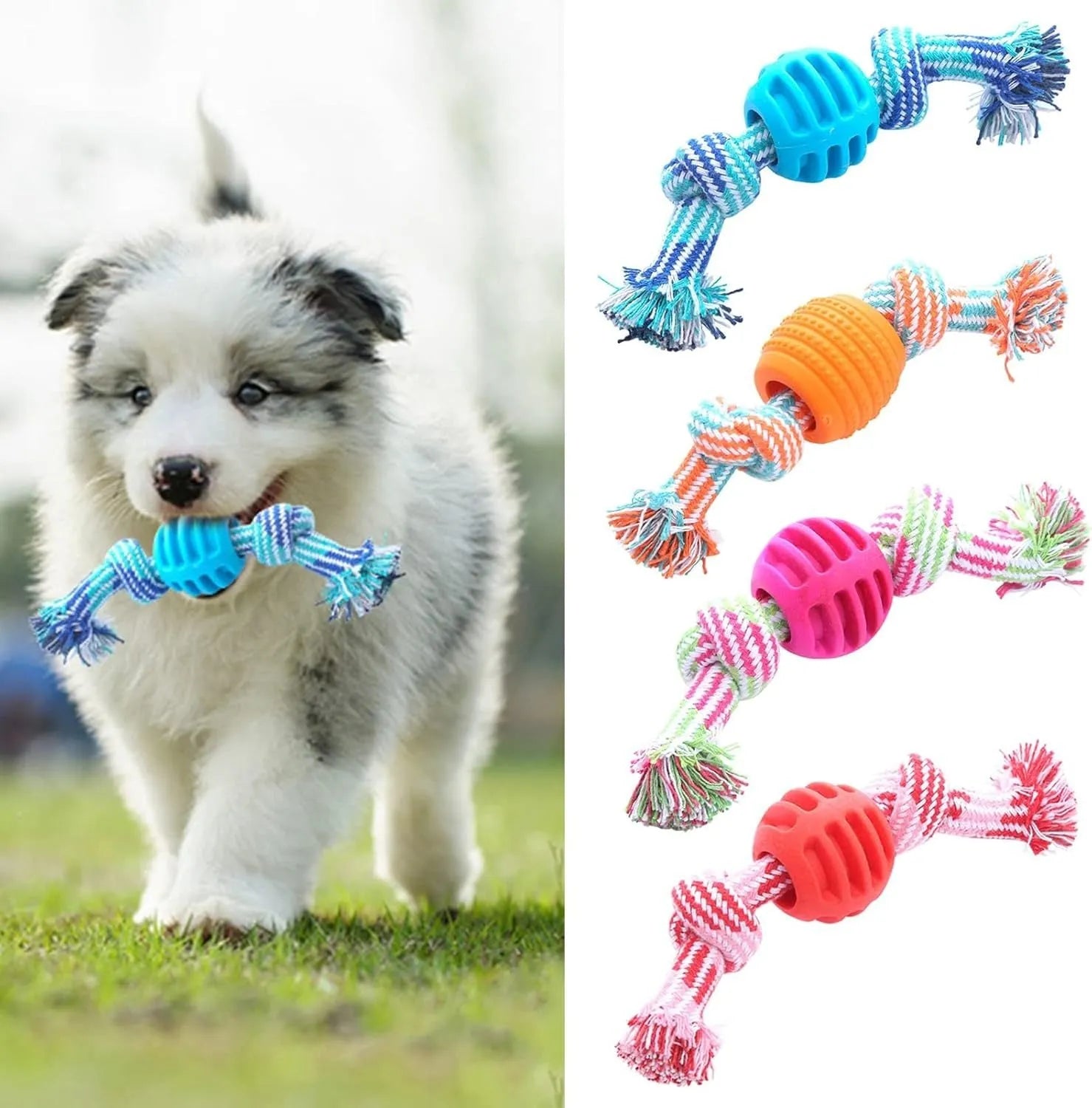 Blue dog chew toy with molar design and rope elements for teeth cleaning and interactive play