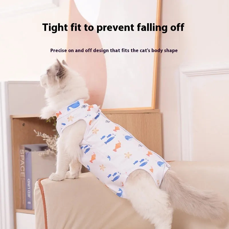 Cat wearing a polyester sterilisation recovery suit with hook-and-loop fastening on its back.