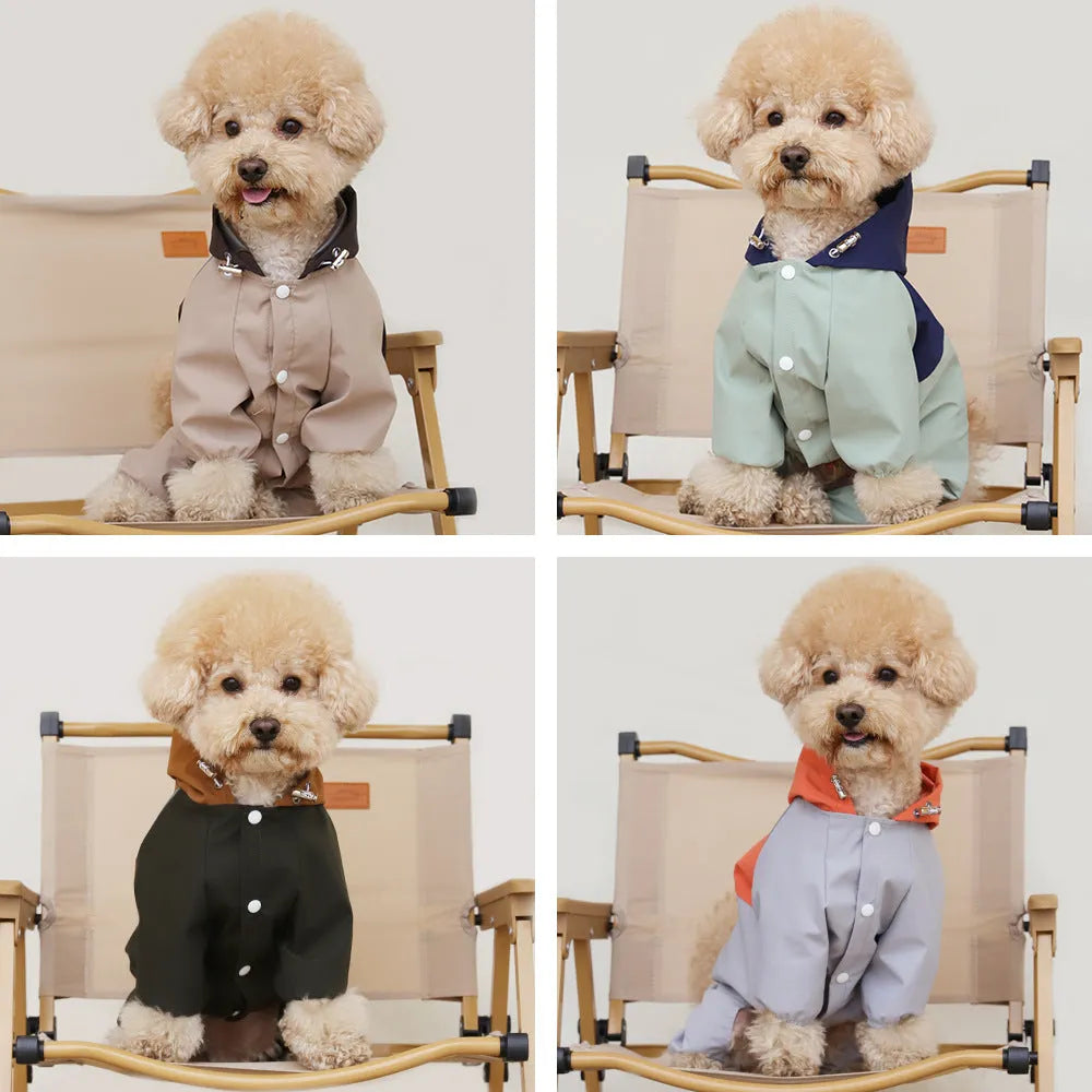 British style khaki coloured waterproof shell jacket on a small dog