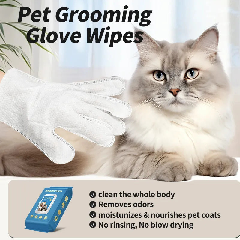 Disposable pet gloves for cat and dog grooming in 20-piece pack quantities