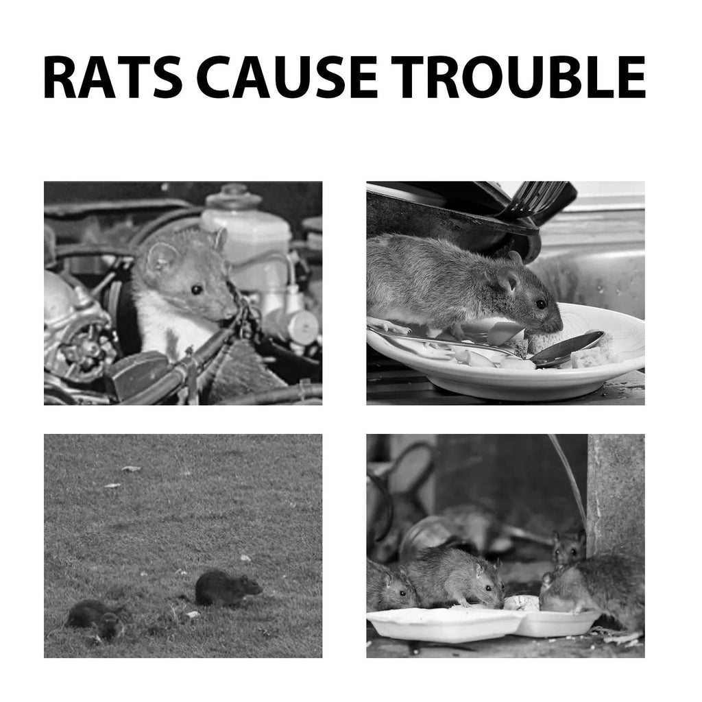 60ml rat repellent spray bottle with natural oils formula for home, outdoor and car use