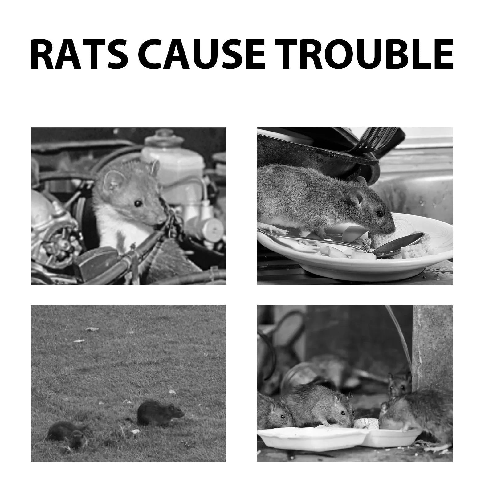 60ml rat repellent spray bottle with natural oils formula for home, outdoor and car use
