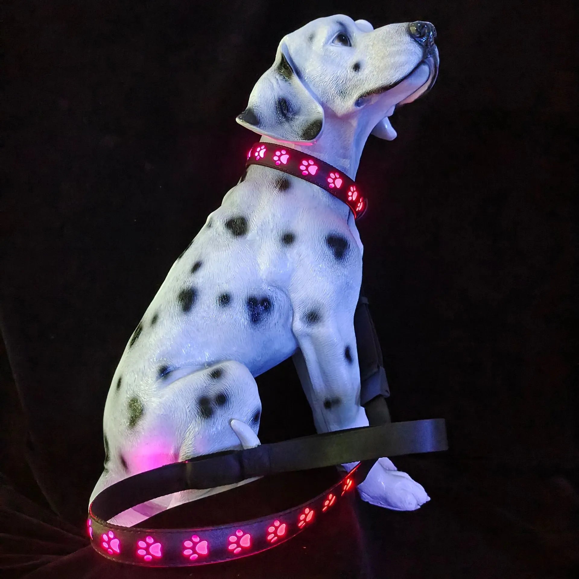 LED luminous cat collar with paw print pattern showing colour changing lights