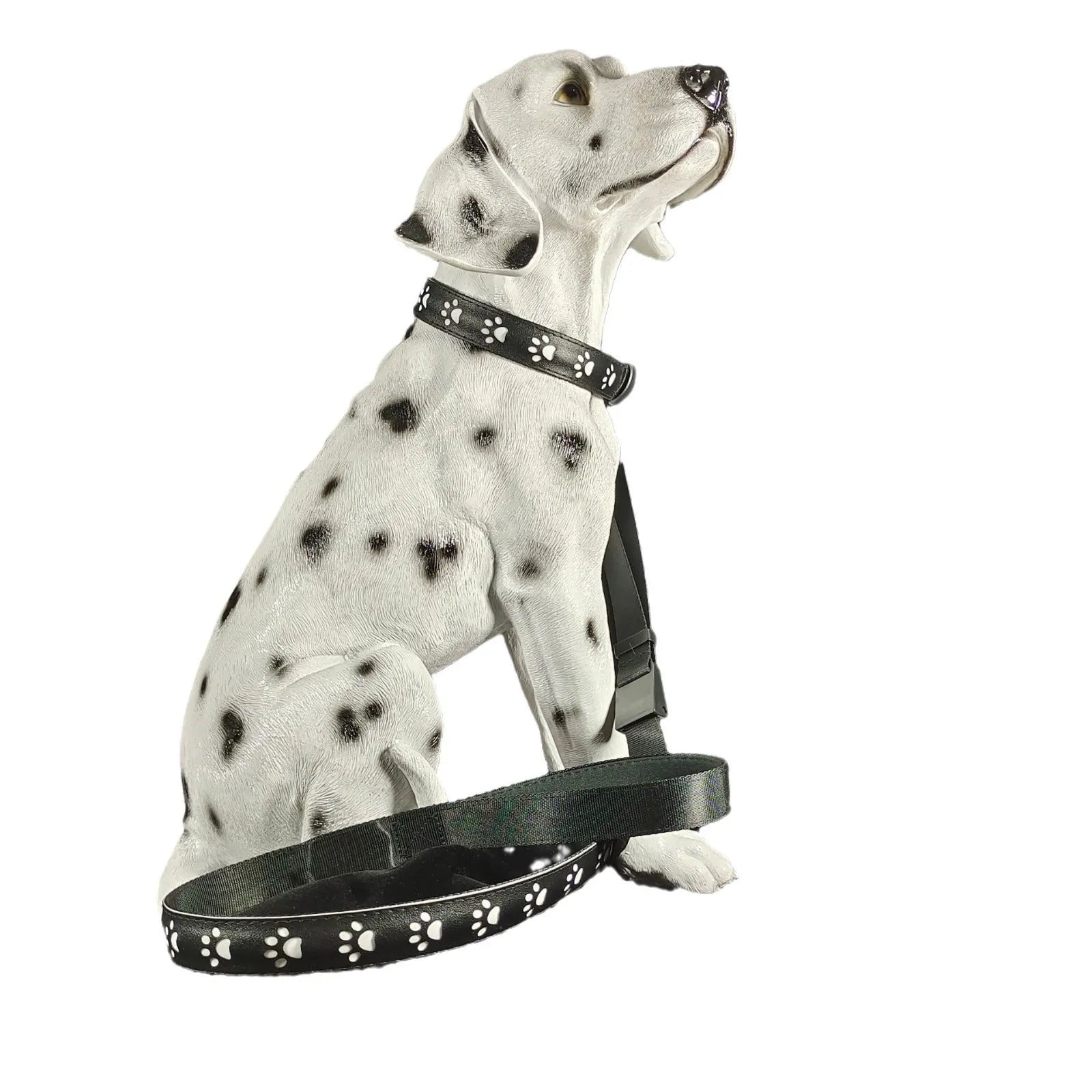 LED luminous cat collar with paw print pattern showing colour changing lights