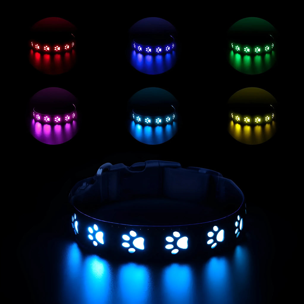 LED luminous cat collar with paw print pattern showing colour changing lights