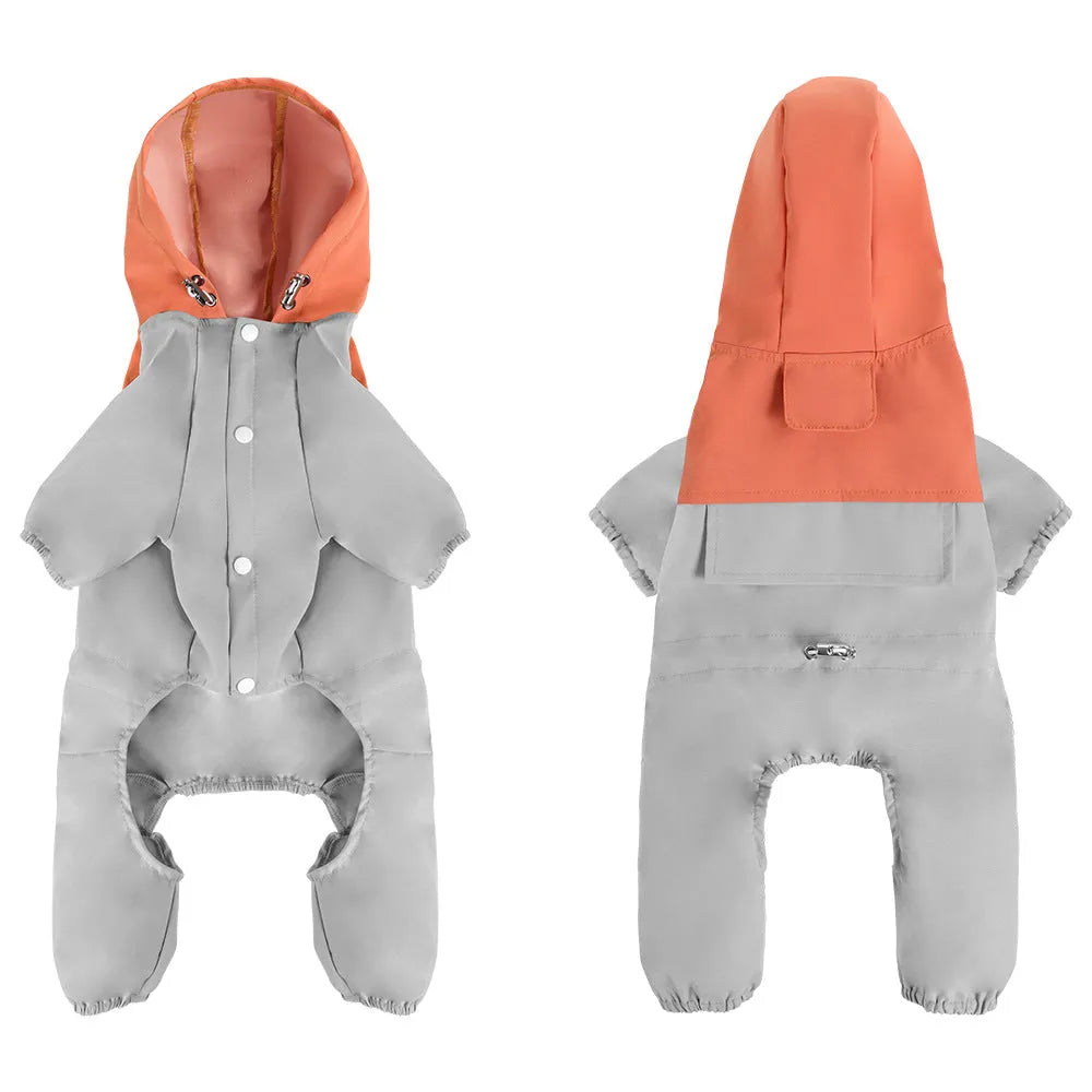 British style khaki coloured waterproof shell jacket on a small dog