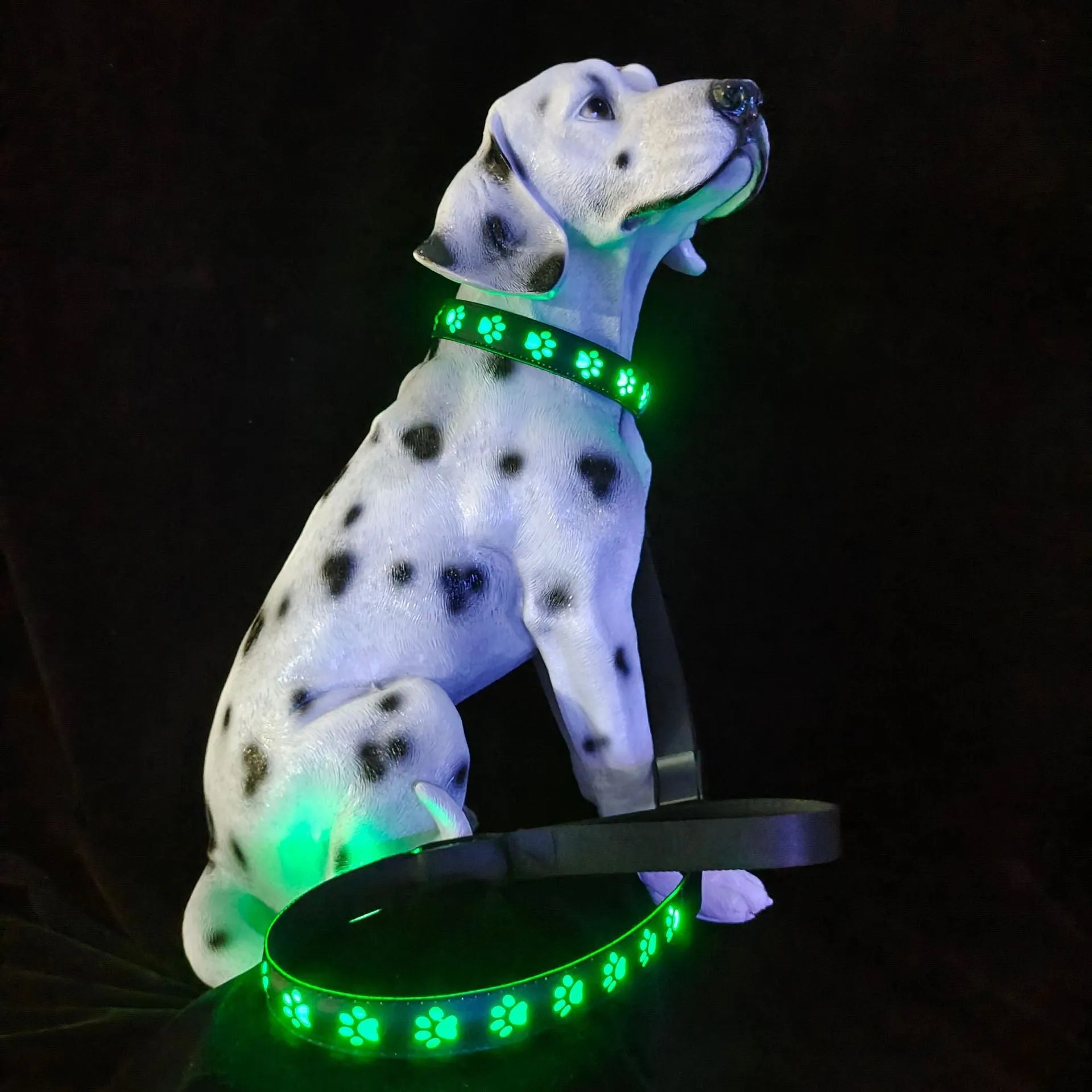 LED luminous cat collar with paw print pattern showing colour changing lights