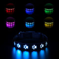 LED luminous cat collar with paw print pattern showing colour changing lights
